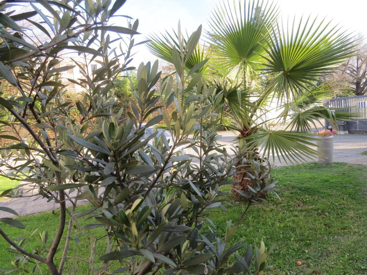 Hotel Kyriad Cap Sud Avignone Esterno foto