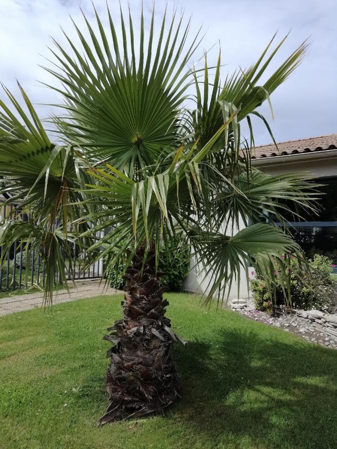 Hotel Kyriad Cap Sud Avignone Esterno foto
